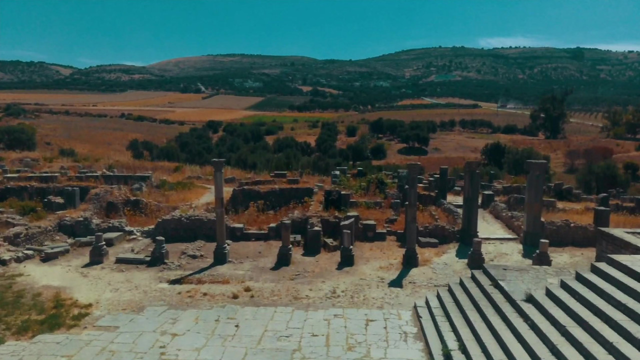 Le concours TIFAWINE : Volubilis, une identité nocturne à inventer